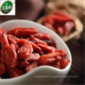 Getrocknete Goji-Beere / Bio-Wolfberry / Porzellan-Goji-Beere